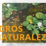 Venta pintura de naturaleza al óleo en Madrid